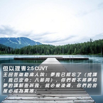 但 以 理 書 2:5 CUVT Bible Verse Image