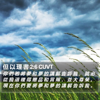 但 以 理 書 2:6 CUVT Bible Verse Image