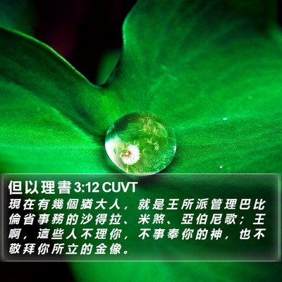 但 以 理 書 3:12 CUVT Bible Verse Image