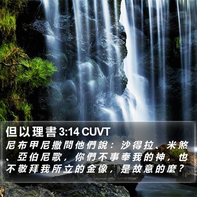 但 以 理 書 3:14 CUVT Bible Verse Image