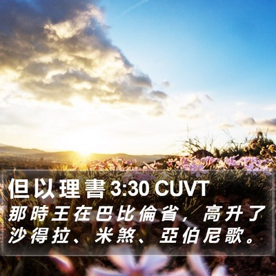 但 以 理 書 3:30 CUVT Bible Verse Image