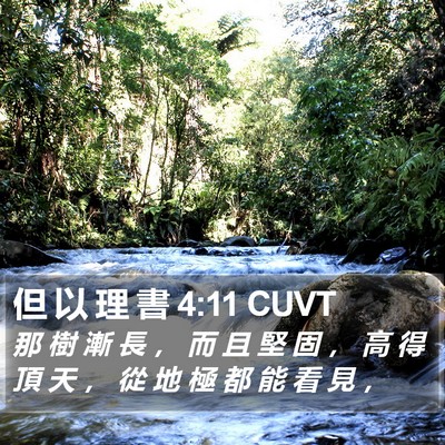 但 以 理 書 4:11 CUVT Bible Verse Image