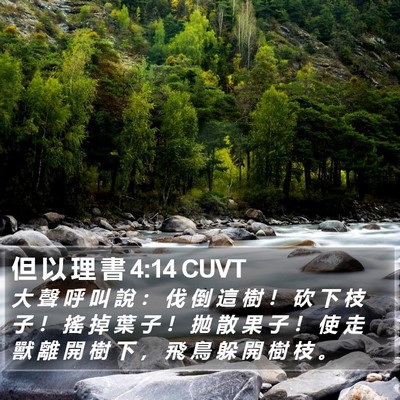 但 以 理 書 4:14 CUVT Bible Verse Image