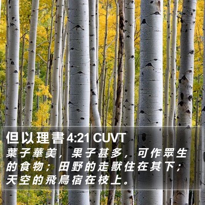 但 以 理 書 4:21 CUVT Bible Verse Image