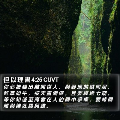 但 以 理 書 4:25 CUVT Bible Verse Image
