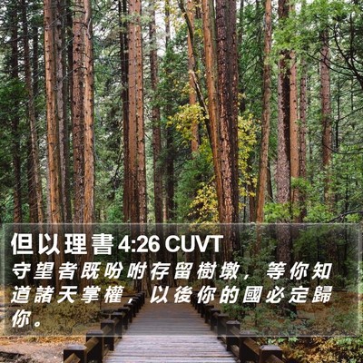 但 以 理 書 4:26 CUVT Bible Verse Image