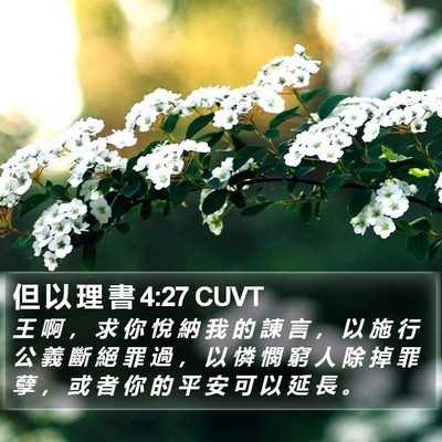 但 以 理 書 4:27 CUVT Bible Verse Image