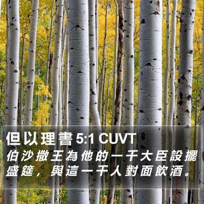 但 以 理 書 5:1 CUVT Bible Verse Image