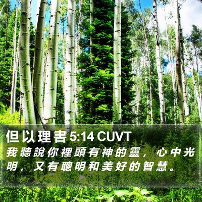 但 以 理 書 5:14 CUVT Bible Verse Image