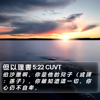 但 以 理 書 5:22 CUVT Bible Verse Image