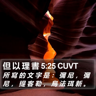 但 以 理 書 5:25 CUVT Bible Verse Image