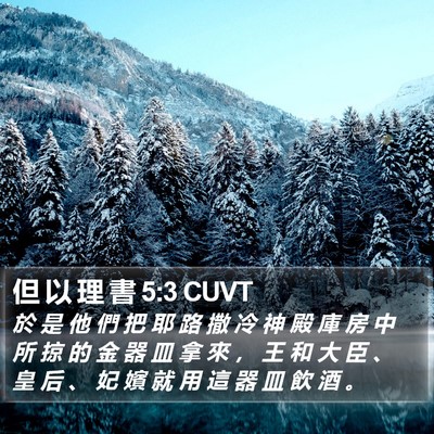 但 以 理 書 5:3 CUVT Bible Verse Image