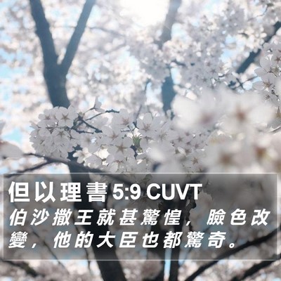 但 以 理 書 5:9 CUVT Bible Verse Image