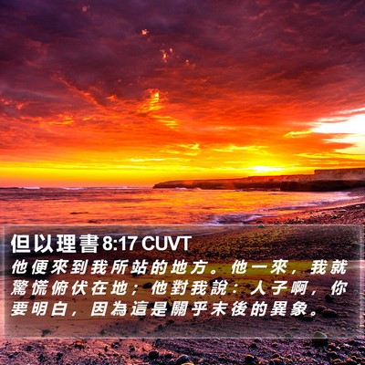 但 以 理 書 8:17 CUVT Bible Verse Image
