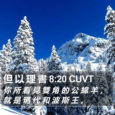 但 以 理 書 8:20 CUVT Bible Verse Image