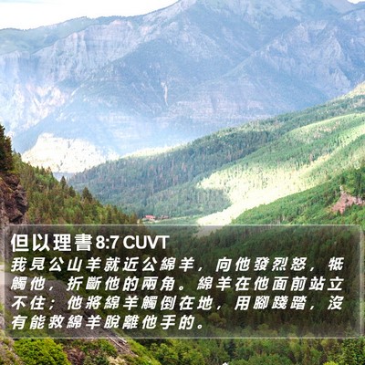 但 以 理 書 8:7 CUVT Bible Verse Image