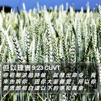 但 以 理 書 9:23 CUVT Bible Verse Image