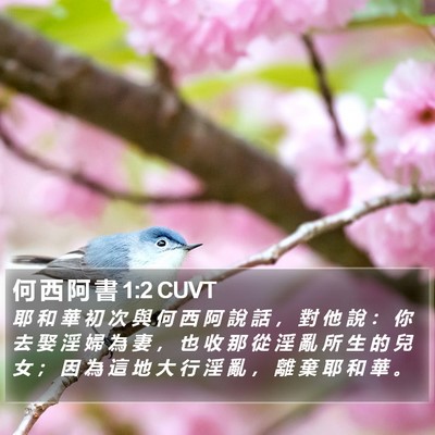 何 西 阿 書 1:2 CUVT Bible Verse Image