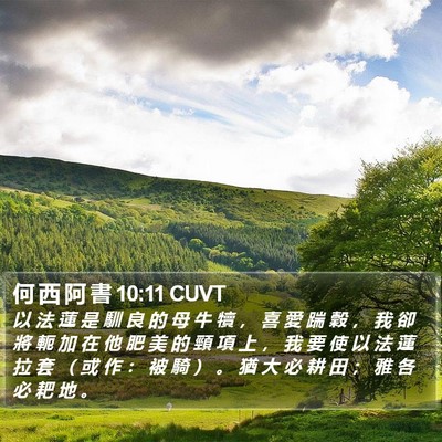 何 西 阿 書 10:11 CUVT Bible Verse Image