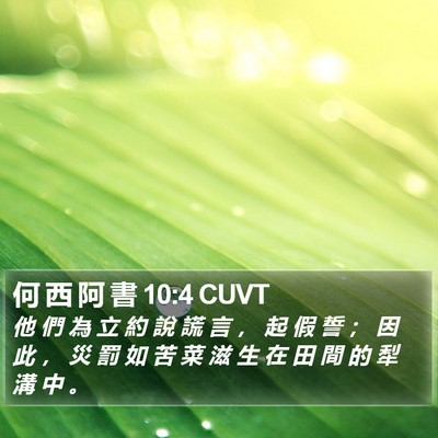 何 西 阿 書 10:4 CUVT Bible Verse Image