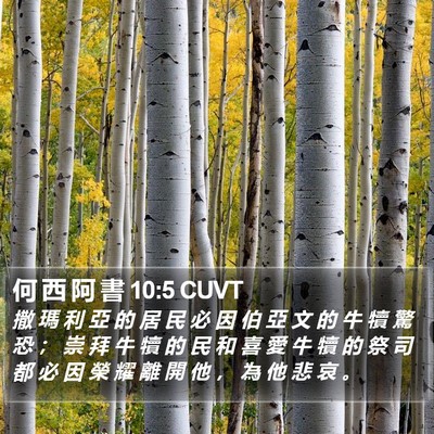 何 西 阿 書 10:5 CUVT Bible Verse Image
