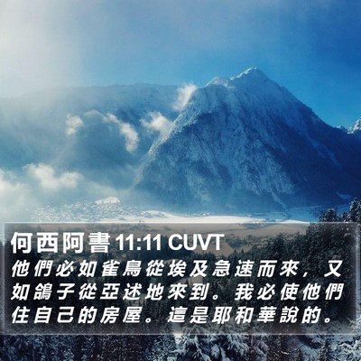 何 西 阿 書 11:11 CUVT Bible Verse Image