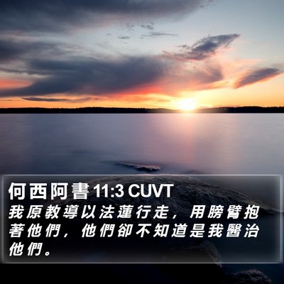 何 西 阿 書 11:3 CUVT Bible Verse Image