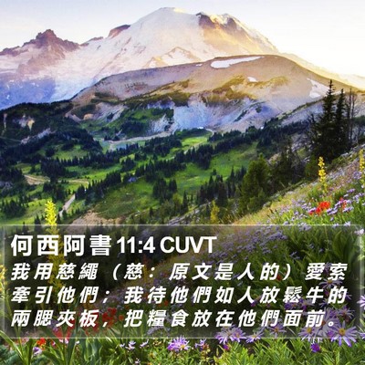 何 西 阿 書 11:4 CUVT Bible Verse Image
