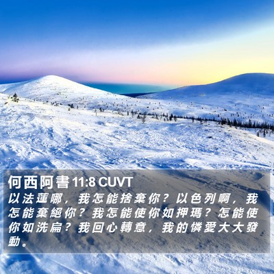 何 西 阿 書 11:8 CUVT Bible Verse Image