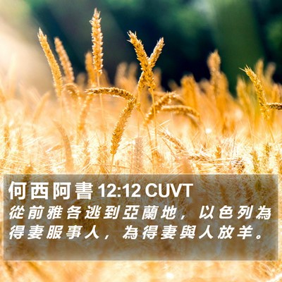 何 西 阿 書 12:12 CUVT Bible Verse Image