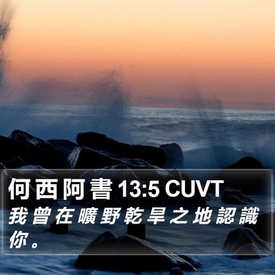 何 西 阿 書 13:5 CUVT Bible Verse Image