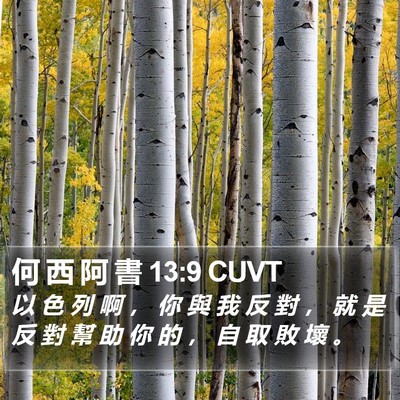 何 西 阿 書 13:9 CUVT Bible Verse Image