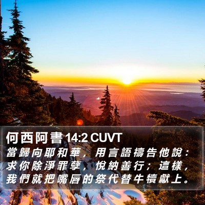 何 西 阿 書 14:2 CUVT Bible Verse Image