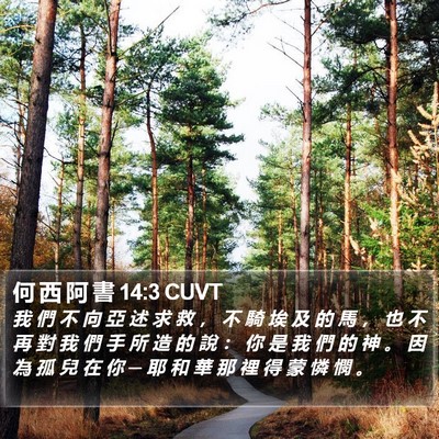 何 西 阿 書 14:3 CUVT Bible Verse Image