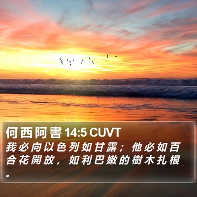 何 西 阿 書 14:5 CUVT Bible Verse Image
