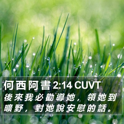 何 西 阿 書 2:14 CUVT Bible Verse Image