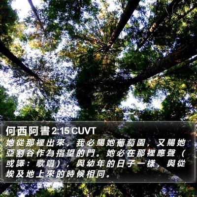 何 西 阿 書 2:15 CUVT Bible Verse Image