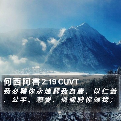 何 西 阿 書 2:19 CUVT Bible Verse Image