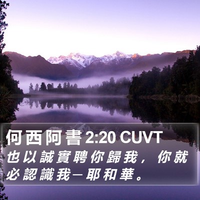 何 西 阿 書 2:20 CUVT Bible Verse Image
