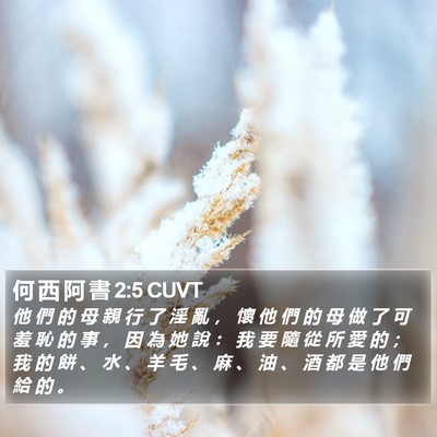 何 西 阿 書 2:5 CUVT Bible Verse Image