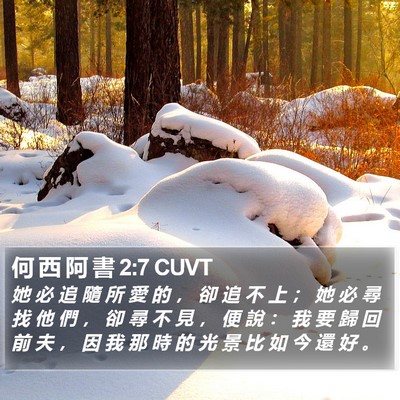 何 西 阿 書 2:7 CUVT Bible Verse Image