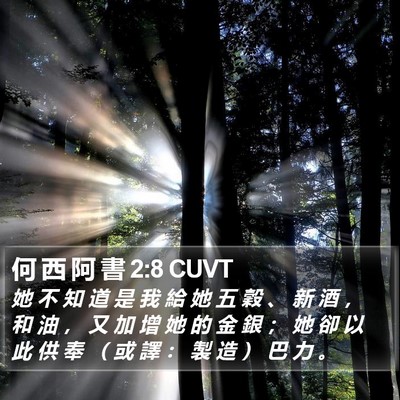何 西 阿 書 2:8 CUVT Bible Verse Image
