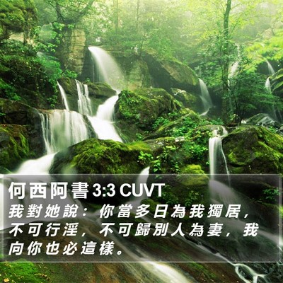 何 西 阿 書 3:3 CUVT Bible Verse Image