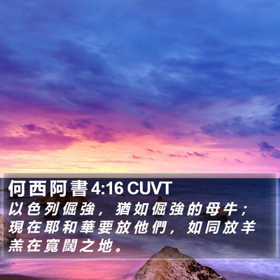 何 西 阿 書 4:16 CUVT Bible Verse Image