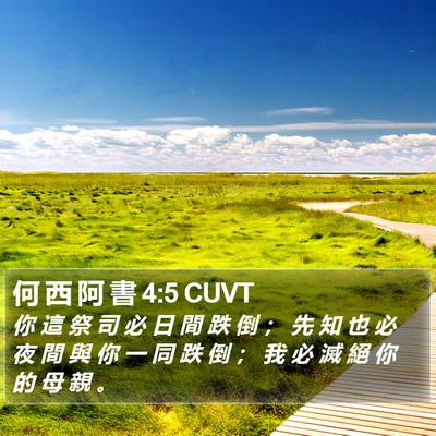 何 西 阿 書 4:5 CUVT Bible Verse Image