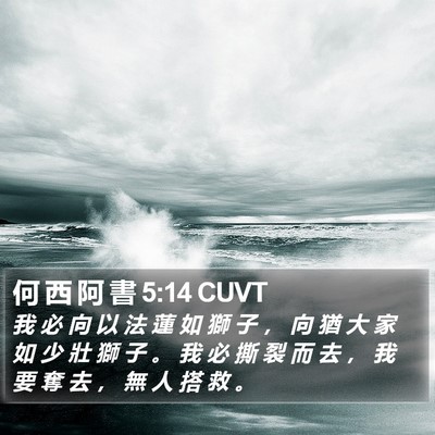 何 西 阿 書 5:14 CUVT Bible Verse Image
