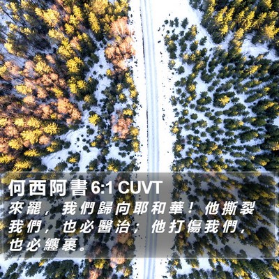 何 西 阿 書 6:1 CUVT Bible Verse Image