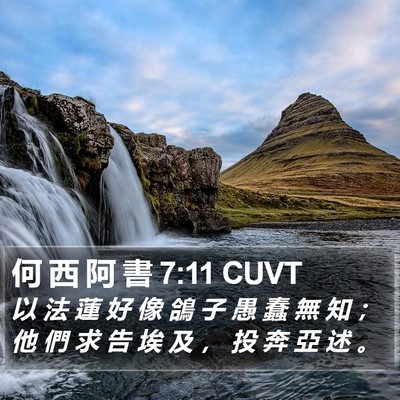 何 西 阿 書 7:11 CUVT Bible Verse Image