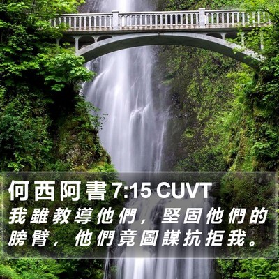 何 西 阿 書 7:15 CUVT Bible Verse Image