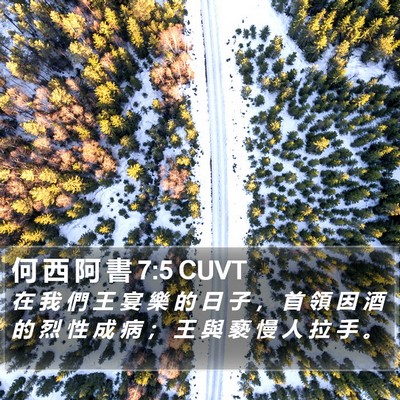 何 西 阿 書 7:5 CUVT Bible Verse Image
